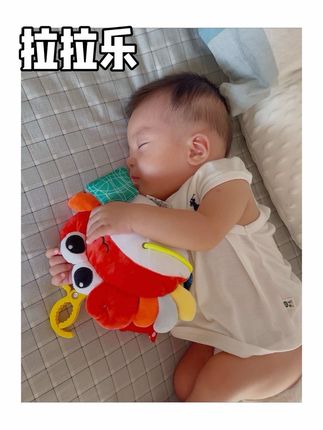 就喜欢这种价格合适玩儿法又多的玩具,这个拉拉乐我们家宝宝每天都不离手,直接从小月龄玩到1岁多呢!#人类幼崽 #早教玩具 #母婴好物 #妈妈带娃解放双手