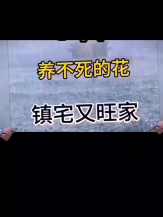 #张予曦毕雯珺真拍了红裙抱 #深情眼 #张予曦 #毕雯珺