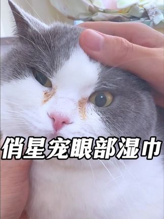 毛孩子有泪痕眼屎的,可以试试这个橄榄油精华湿巾#宠物湿巾#萌宠好物#宠物泪痕湿巾