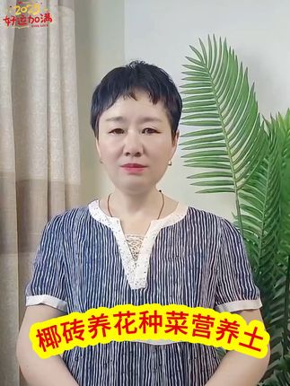 【拍1送9块】赠肥椰砖低盐土养花种菜营养土通用型绿植栽培育苗