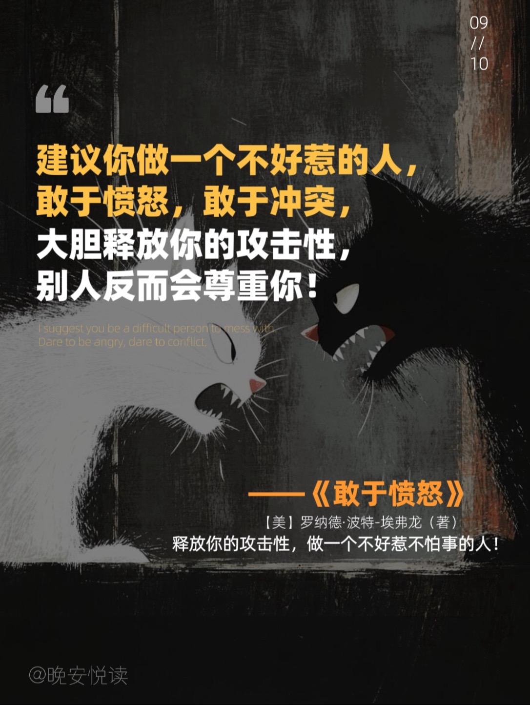 这本书帮我彻底撕掉了老好人标签!你如何表达你的愤怒? 是忍气吞声,把怒火憋在心里,直到憋出内伤? 是一点就炸,用失控的爆发摧毁关系、激化矛盾? 还是假装无事,默默承受委屈,任由问题持续发酵,内心却积怨日深? 真正厉害的人,都敢于表达愤怒!那些你不敢说的不,不敢争的理,不敢护的底线,这本书都能帮你找回来。#好书分享 #表达愤怒 #人际关系 #拒绝内耗 #提升自己