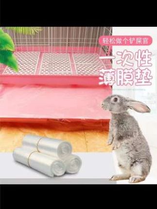 ☞ 转发 |#张予曦毕雯珺真拍了红裙抱 #深情眼 #张予曦 #毕雯珺#笼子用品