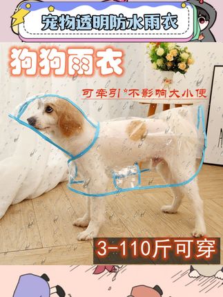 养宠家庭刚需的狗狗透明雨衣来啦~白边透明设计不会挡住修勾视线,防水材质雨天出门也能让毛孩子保持干爽!不管是泰迪、柴犬、柯基这类中小型犬,还是大型犬都能找到适配尺寸~#宠物用品 #宠物雨衣 #狗狗用品 #雨天宠物装备 #养宠好物
