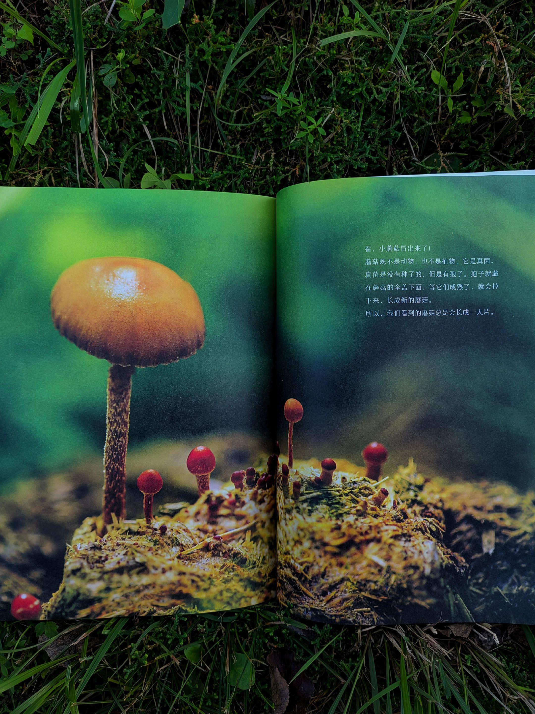 被科普喂大的孩子,就是不一样!2岁就能看的儿童科普天花板太上头了,硬控娃一晚上,连看10遍都不腻有趣又有料,让孩子知识暴涨,值得N刷! #好书推荐 #儿童科普 #儿童科普绘本