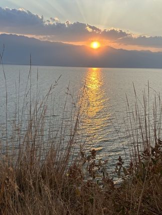 【被罩多规格】暖绒棉秋冬亲肤柔软被套加厚单双人被套磨毛学生宿舍