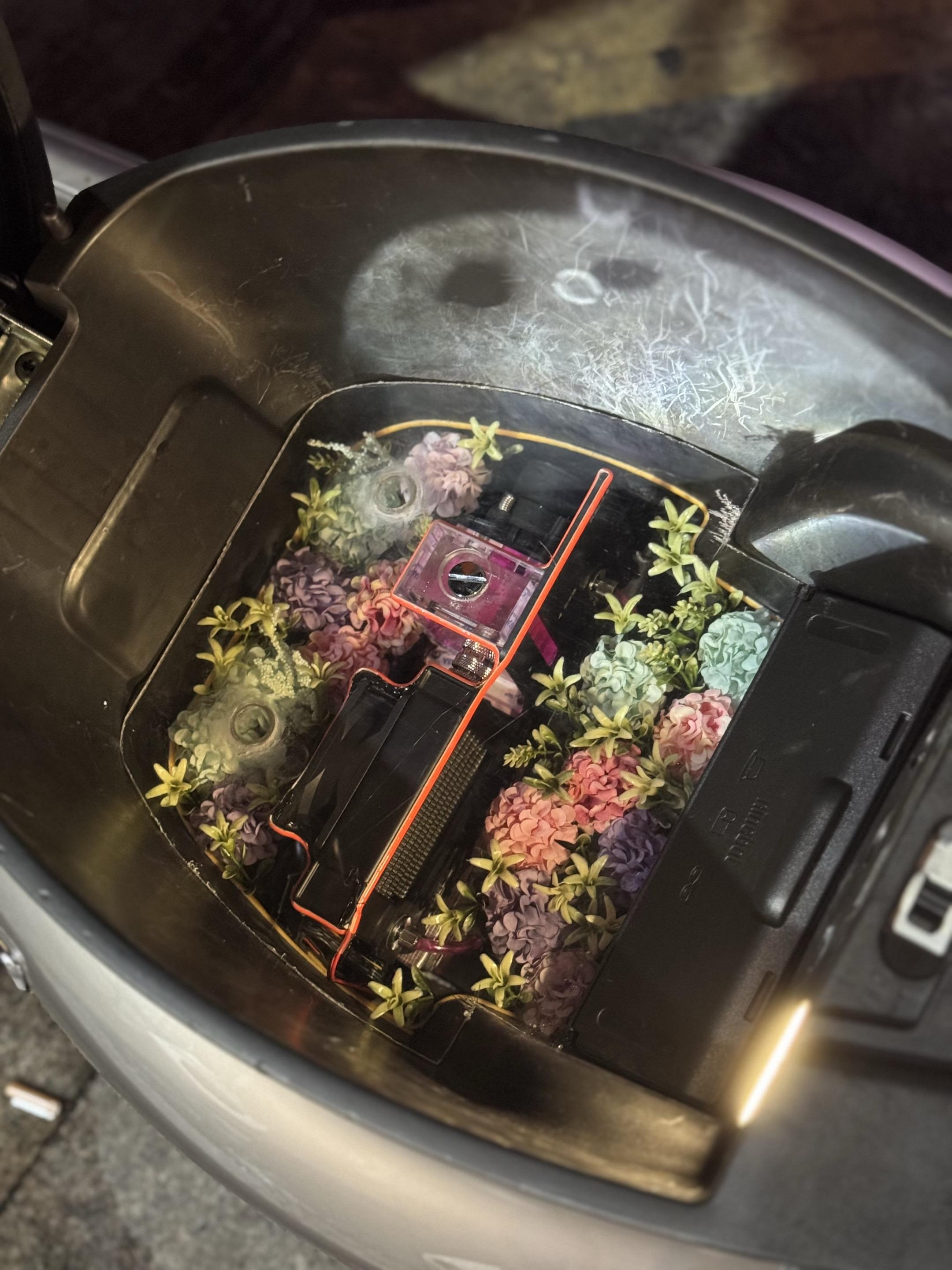 这时候他已经是一个艺术品了#见花如面 #手工