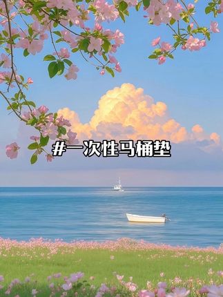 #一次性马桶垫