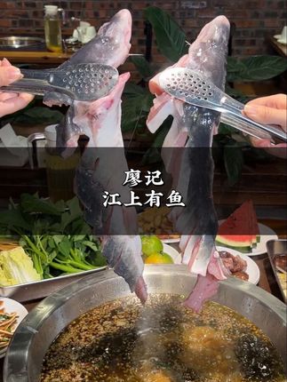 喜欢吃鱼的都给我来这里! #食不言但有语 #鱼火锅 #自助鱼火锅 #团建聚餐