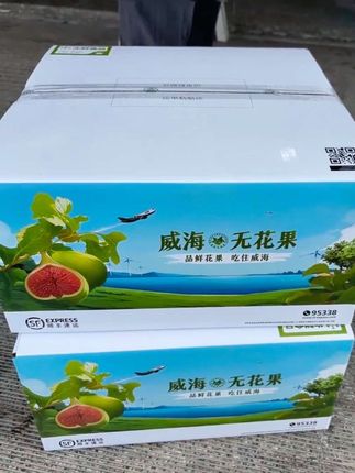 没白等!这口下去直接爆蜜!这威海的青皮无花果比去年更甜了!太爱了!#威海青皮无花果 #现摘现发新鲜到家 #应季新鲜水果