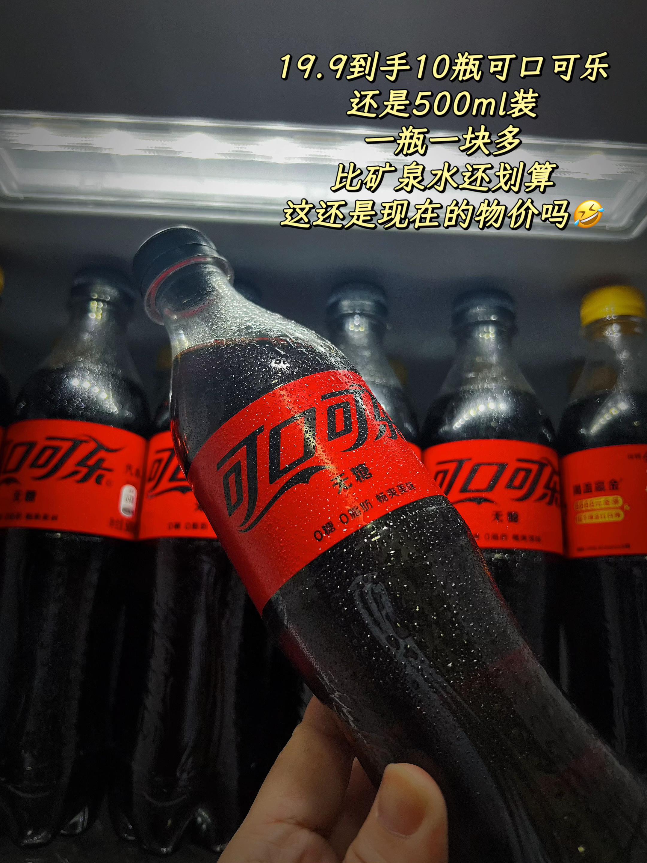 真不敢想象,家人们!19.9到手10瓶可口可乐!商家疯啦!快薅! #畅爽好喝无可替代 #强烈推荐 #可口可乐 #碳酸饮料 #快乐水