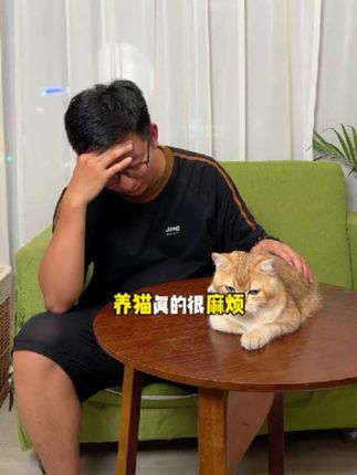 养猫真的很麻烦,要给猫猫补充很多维生素营养。但有了这个虎师兄的复合维生素片就方便多了,一天两片全搞定! #科学养宠攻略 #虎师兄 #宠物营养补充剂 #猫咪维生素 #新手养猫