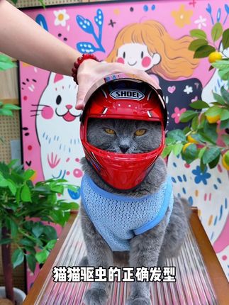 猫咪狗狗每月一次驱虫可千万不能忘,在家用这种内外同驱,方便经济又实惠#科学养宠攻略 #萌宠好物 #宠物驱虫