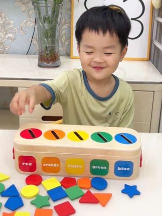 蒙氏早教几何形状颜色分类教具提高投币配对认知训练宝宝玩1具2岁#专注力培养 #益智玩具 #动手动脑 #早教益智玩具 #自己玩的不亦乐乎