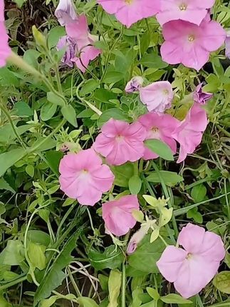 # # 简约穿搭显瘦 # 穿搭分享# 上衣@DOU...