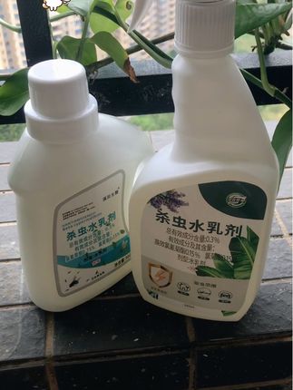 #下水道 #管道 清洁 卫生间地漏小飞虫清理#居家清洁小妙招 #强烈推荐