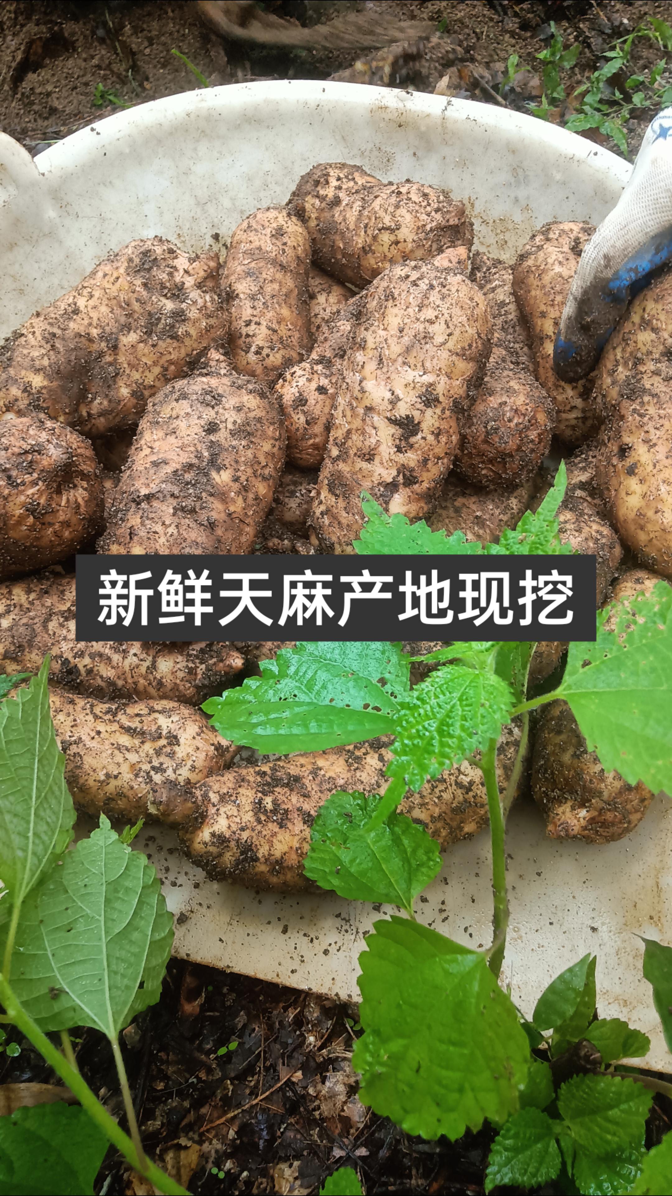 中秋送礼就选它点击视频下方小黄车