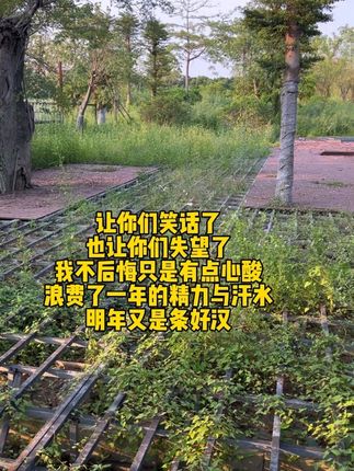 让你们笑话了,当初的雄心壮志,现在的一脸委屈心酸无奈,不过我不后悔,猫咪的家园我从未放弃过#明仔团队