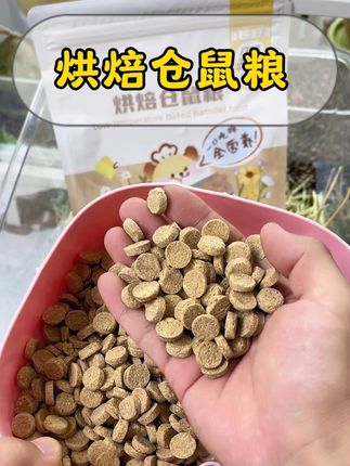 自从换了这款烘焙粮,不用担心鼠鼠挑食的问题了!#仓鼠烘焙粮 #仓鼠粮 #新手养鼠指南 #养鼠日常分享 #萌宠出道计划