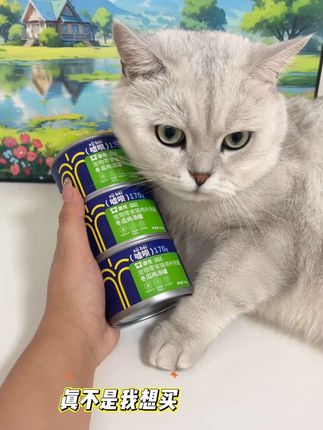 家里养公猫的,担心毛孩嘘嘘问题那些不爱喝水的毛孩们,可以购物车试试#萌宠好物 #吃货猫 #尿闭 #猫咪不喝水 #澳龙