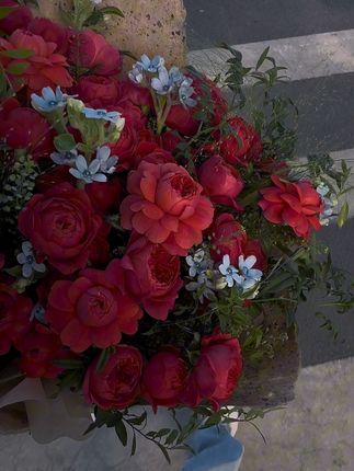 时间花在哪 花就开在哪