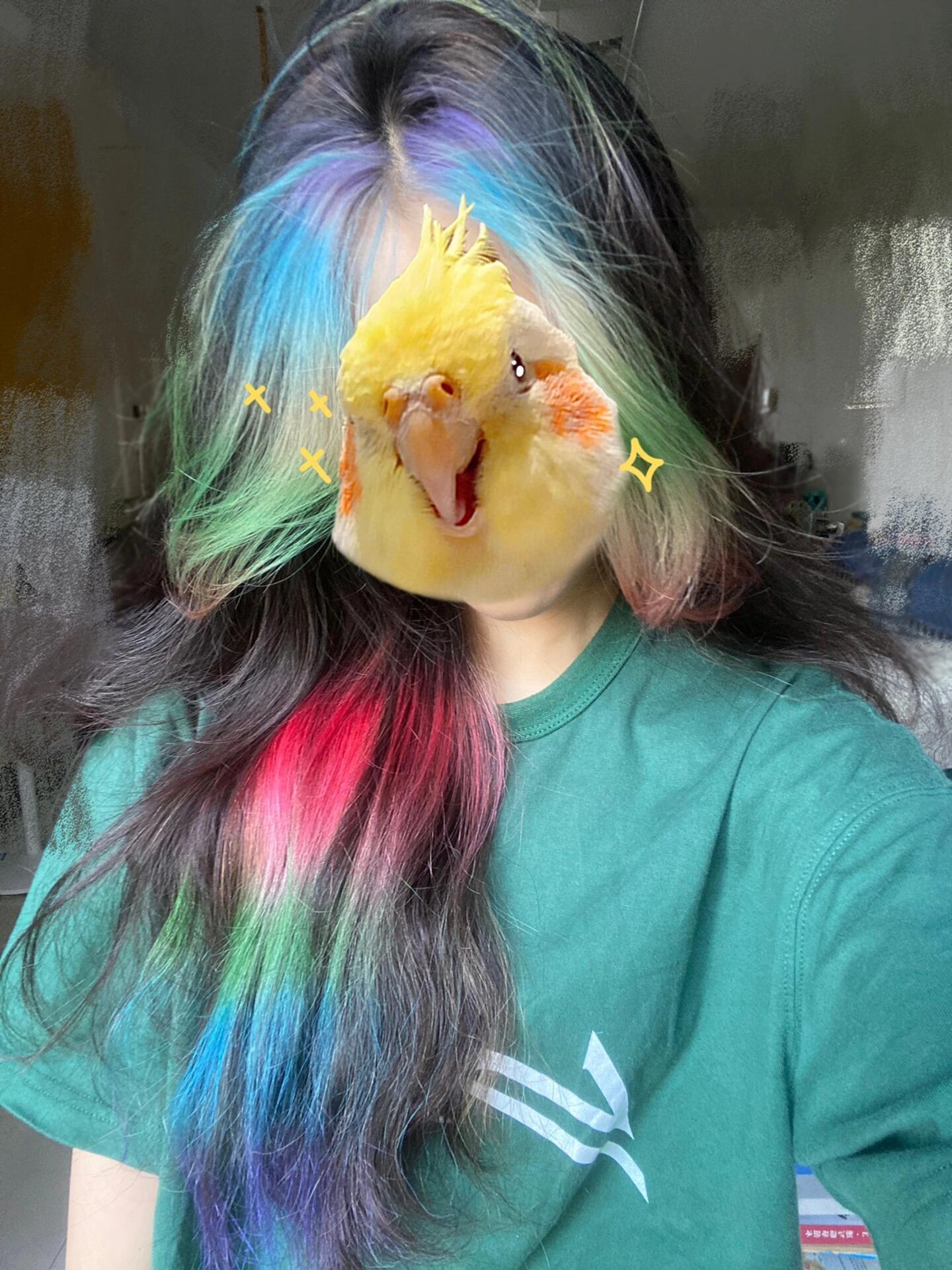 自己在家轻松染个彩虹🌈色。#彩虹染 ~#挂耳染 #挑染 #漂发 #发色