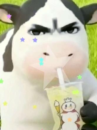 你说我哞哞逼人?#萌物 #哞哞哞 #草地牛