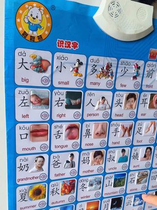 宝宝识字,有声挂图,幼升小,幼儿园识字, #认字识字 #识字启蒙 #幼儿园识字#幼儿识字#有声挂图