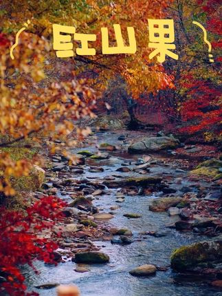 跟着冯建宇红山果手势舞,收藏湖南的秋日限定浪漫🍂 #冯建宇 #红山果 #红山果手势舞 #秋天 #湖南