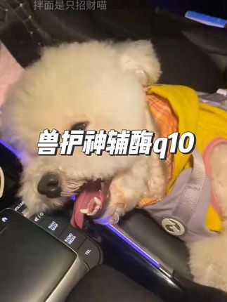 家里猫狗有这些情况的,建议早点把兽护神这款辅酶q10安排上!辅酶早已不是什么奢侈品,现在的价格都吃的起#宠物的日常 #萌宠好物 #科学养宠攻略 #宠物辅酶q10 #养宠人
