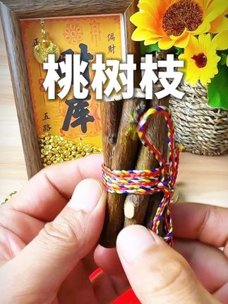 桃木枝东南老桃树#桃木枝 #桃树枝 #五色线寓意