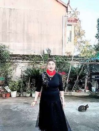 新歌新舞,好听伤感歌曲,学跳舞打卡,自娱自乐。