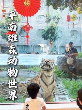 嘴真严!广西有这么好玩的地方不早点说?与虎同吃同住你敢吗?平南雄森动物大世界旅游度假区#雄森旅游度假区 #壮美传奇 #广西人的壮乡情 #疯狂与虎同厕 #亲子游玩好去处