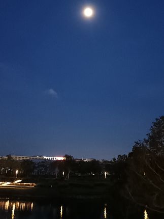 知遇之恩无以为报,这一刻伯乐之交具象化了…