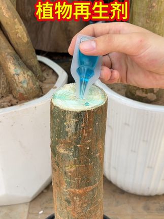 家里花花草草养不好,可以试试这个植物再生剂#养花小知识 #种植小技巧 #绿植盆栽 #分享家庭养花知识 #花卉养护