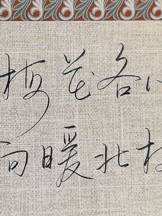 可惜梅花各心事,南枝向暖北枝寒#手写 #练字 #写字是一种生活