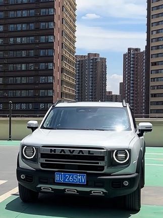 帅帅的哈弗,年轻人都喜欢的座驾,这个地方还是得重视起来,车门锁保护套还是得安装上#哈弗汽车#哈弗大狗 #哈弗猛龙 #哈弗初恋 #哈弗神兽