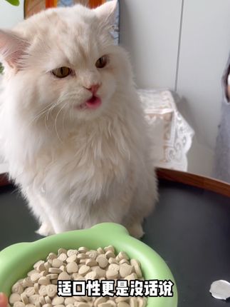 不会吐毛球的猫咪快试试这个化毛球片#萌宠好物 #科学养宠 #化毛球片 #猫咪排毛球 #养猫新手