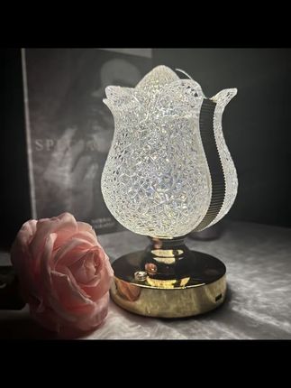可爱新款高级感浪漫玫瑰花小夜灯精致高档水晶温馨轻奢书房卧室#好物推荐🔥 #小夜灯 #床头台灯 #高档台灯 #卧室氛围灯