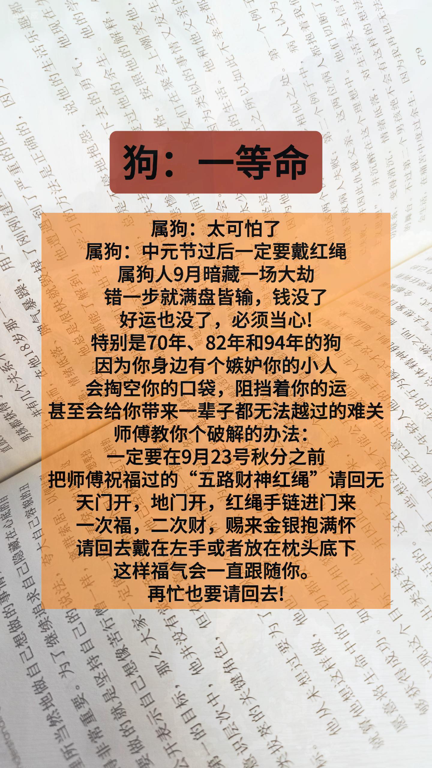 #狗 #属狗 #生肖狗