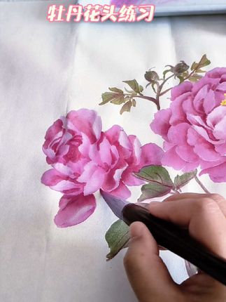 小写意牡丹花头练习
