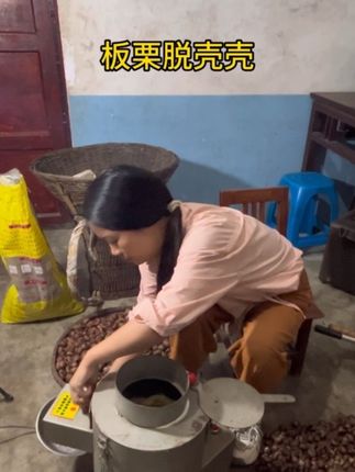 山卡卡的板栗成熟啦!#我的乡村生活 #原创视频 #我要上热门🔥