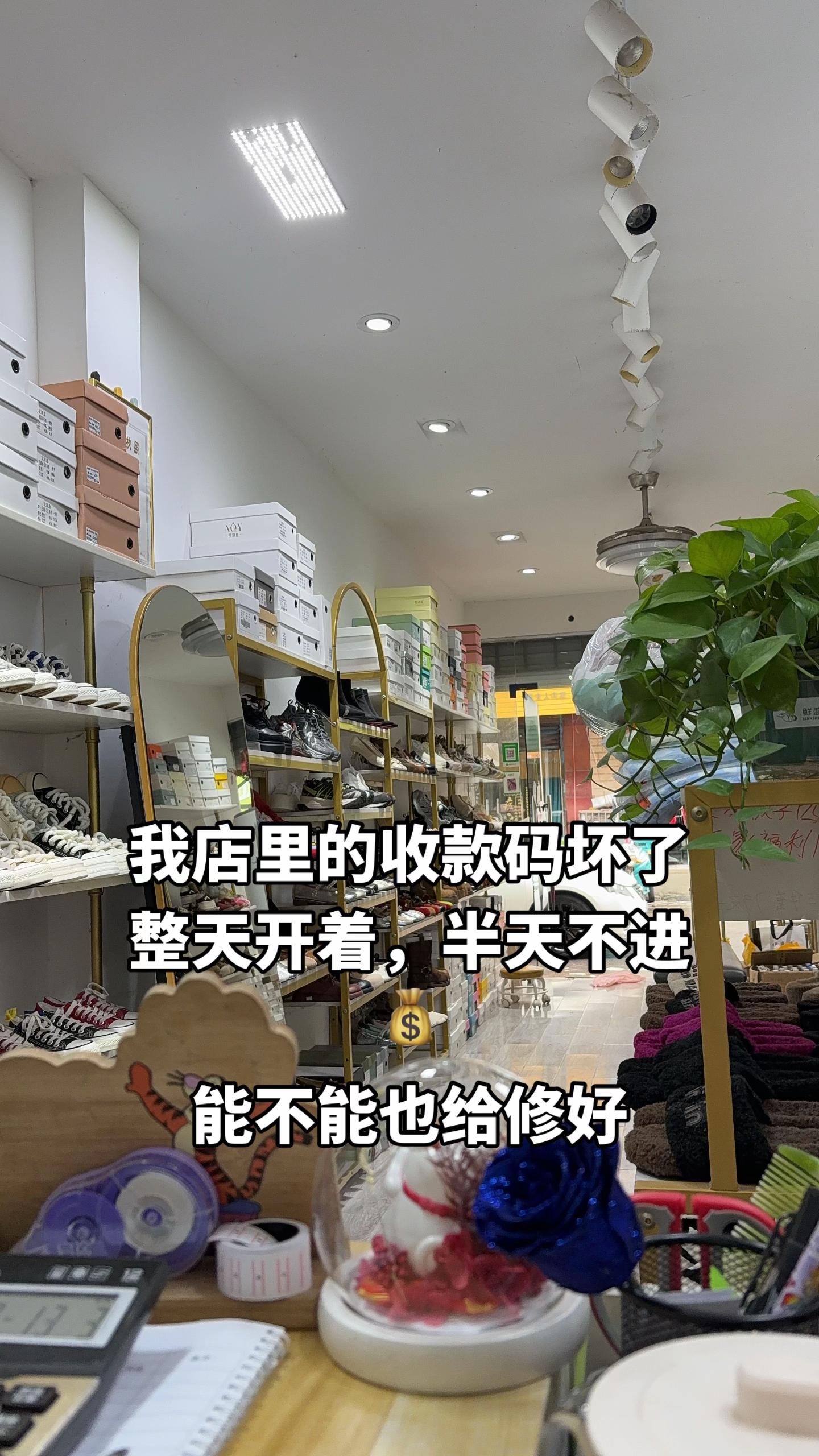 店里的收款码坏了 整天开着,半天不进💰 能能不能给修一下#女鞋实体店 #上热搜 #