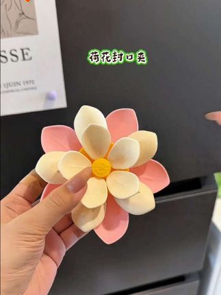 #荷花封口夹#冰箱贴#非常方便实用#在抖音入手的好东西@DOU+小助手