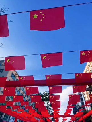 #国旗彩旗#串串国旗#国庆彩旗
