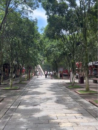 全世界最大石刻弥勒坐佛,乐山大佛,又名嘉州凌云大佛,立于三江交汇处#旅游旅游 #乐山大佛 #峨眉山 #四川旅游