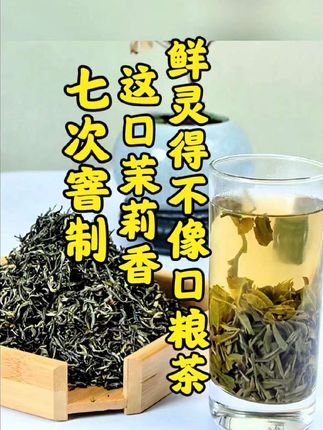 窨制7次才算真茉莉花茶!这罐‘小叶银芽’喝一口满嘴留香!#茉莉花茶 #七窨茉莉 #茶叶 #2025新茶 #口粮茶