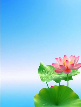 方飞老师终于揭秘他的学生这么优秀的秘诀了#教书十年 #方飞老师 #好书分享 #家长必看 #作文金句