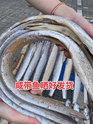 油糯糯的咸带鱼 油带鱼晒的咸带鱼,好吃#咸带鱼#舟山带鱼#雷达网带鱼#本地带鱼 #小眼睛咸带鱼