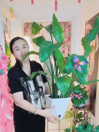 人到中年越来越喜欢花花草草了,80后的你也这样吗?#绿植 #家的样子