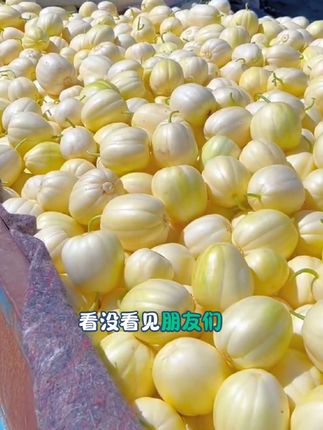 #黑龙江香瓜嘎嘎甜#顺丰包邮#